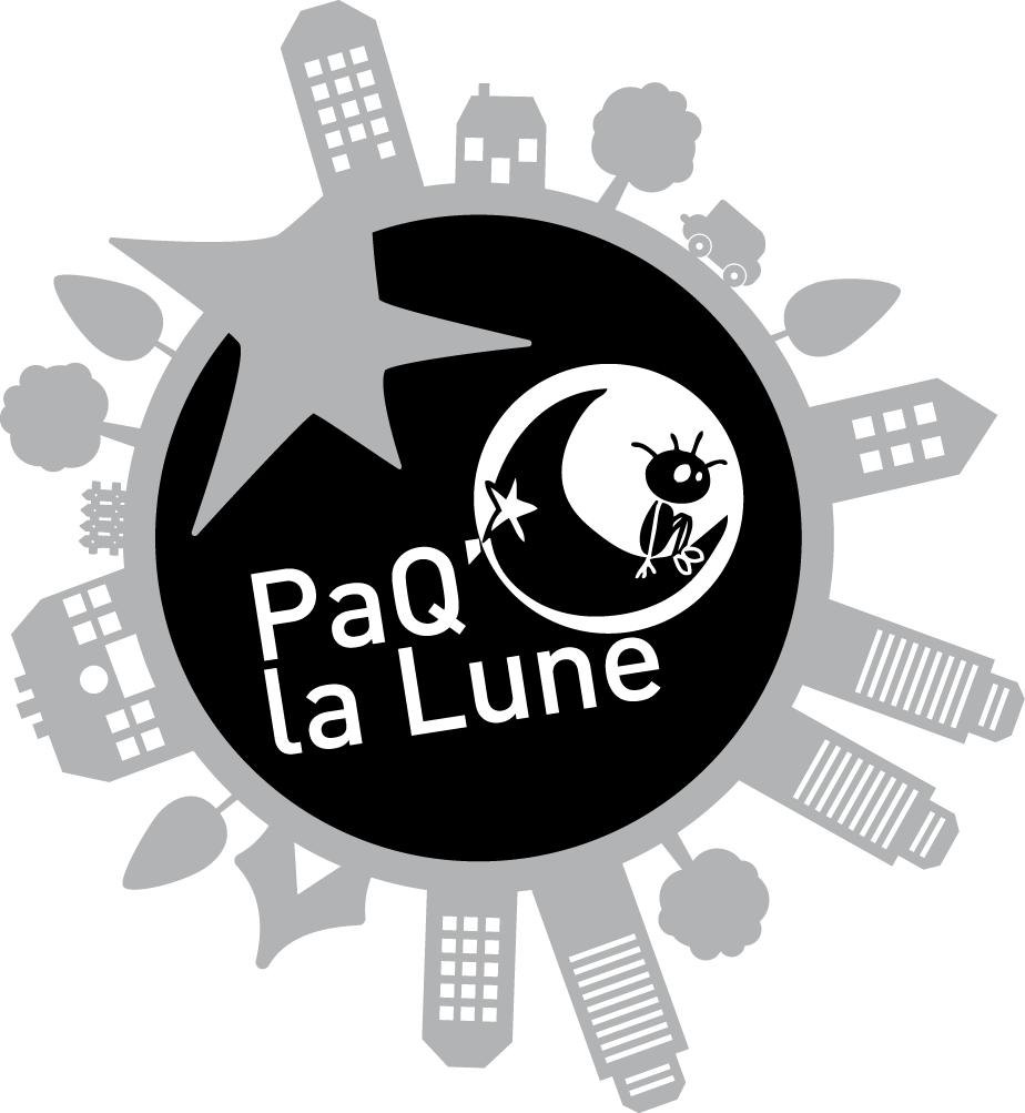 logo PAQ SOLO gris biais