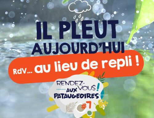 Lieux de repli Rendez-vous aux pataugeoires 2025