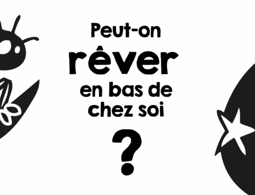 plaidoyer élections municipales 2026